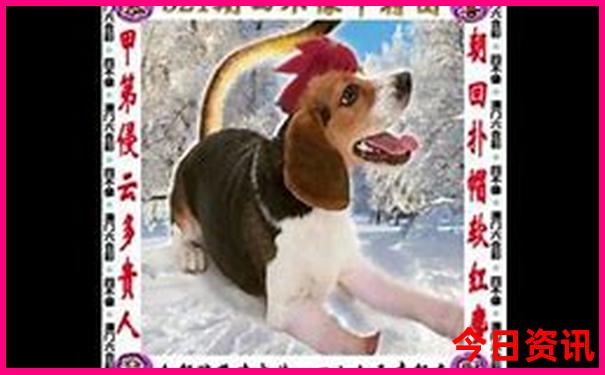 庆元旅游必去十大景点
